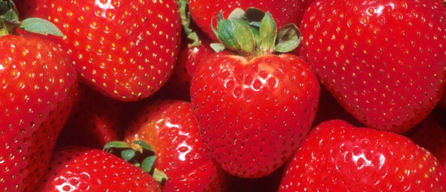 AMAZING Strawberry Cheesecake!